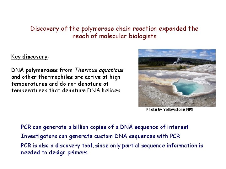 Discovery of the polymerase chain reaction expanded the reach of molecular biologists Key discovery: