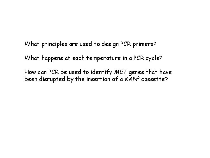 What principles are used to design PCR primers? What happens at each temperature in