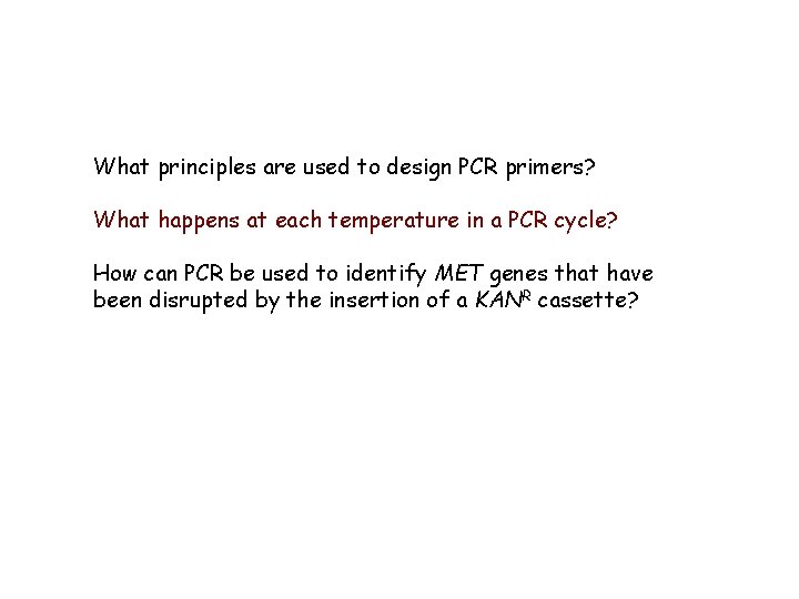 What principles are used to design PCR primers? What happens at each temperature in