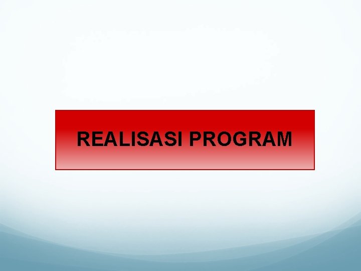 REALISASI PROGRAM 