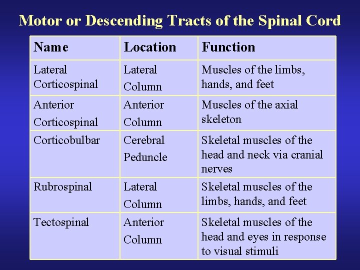 Motor or Descending Tracts of the Spinal Cord Name Location Function Lateral Corticospinal Lateral