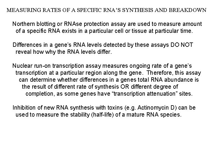 MEASURING RATES OF A SPECIFIC RNA’S SYNTHESIS AND BREAKDOWN Northern blotting or RNAse protection