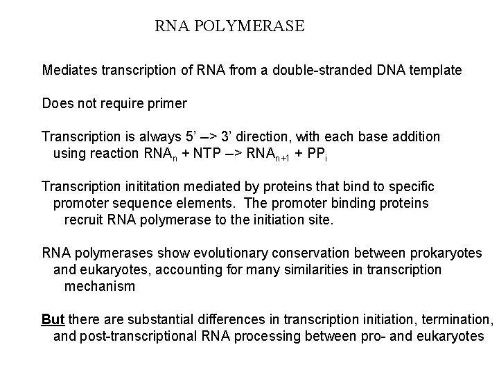 RNA POLYMERASE Mediates transcription of RNA from a double-stranded DNA template Does not require