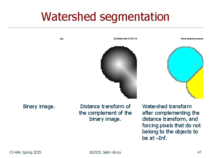 Watershed segmentation Binary image. CS 484, Spring 2015 Distance transform of the complement of