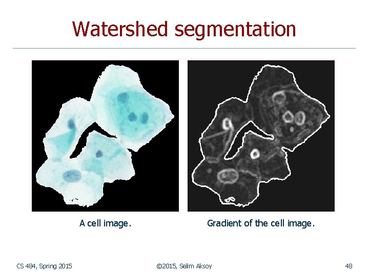 Watershed segmentation A cell image. CS 484, Spring 2015 Gradient of the cell image.