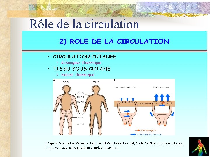 Rôle de la circulation Rôle de la circulation