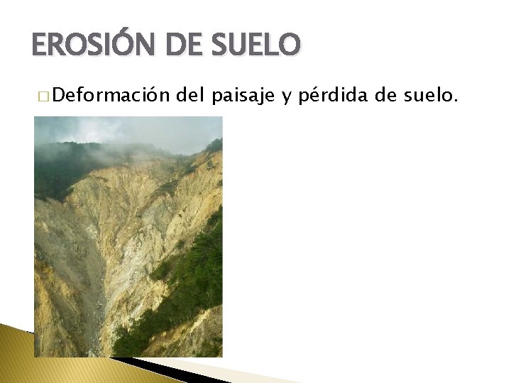 EROSIÓN DE SUELO � Deformación del paisaje y pérdida de suelo. 