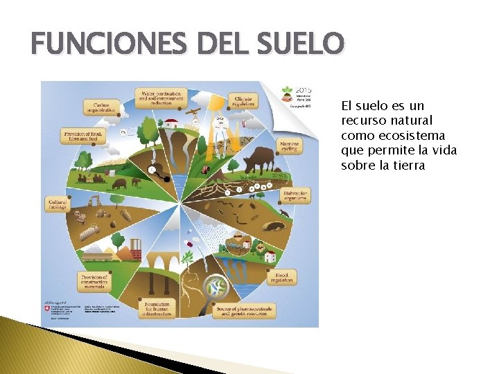 FUNCIONES DEL SUELO El suelo es un recurso natural como ecosistema que permite la