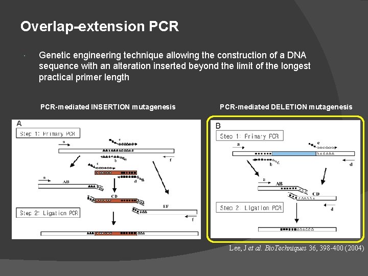 Overlap-extension PCR Genetic engineering technique allowing the construction of a DNA sequence with an Overlap-extension PCR Genetic engineering technique allowing the construction of a DNA sequence with an