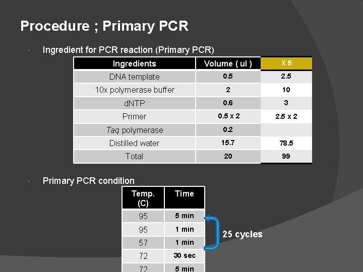 Procedure ; Primary PCR Ingredient for PCR reaction (Primary PCR) Ingredients Volume ( ul Procedure ; Primary PCR Ingredient for PCR reaction (Primary PCR) Ingredients Volume ( ul