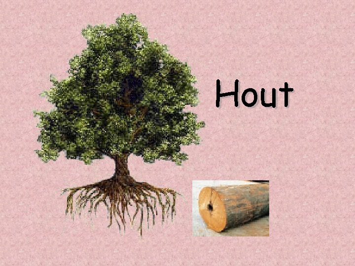 Hout 