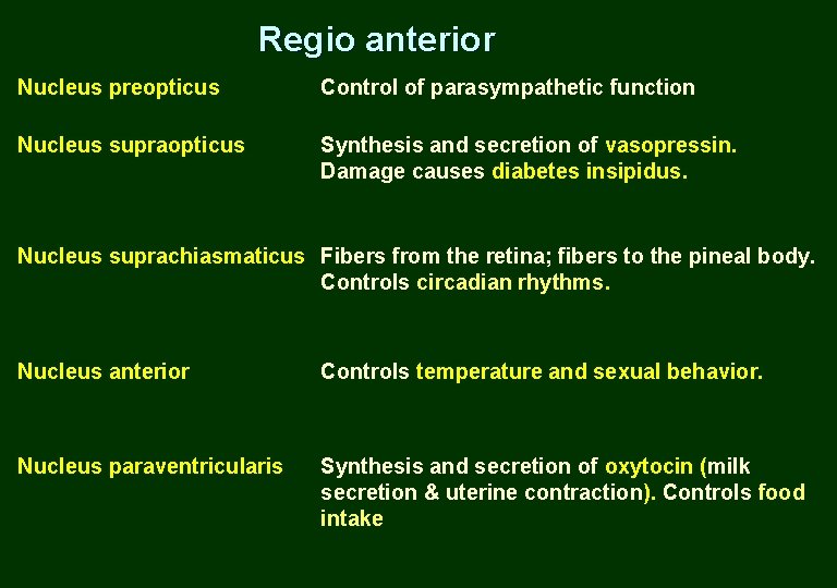 Regio anterior Nucleus preopticus Control of parasympathetic function Nucleus supraopticus Synthesis and secretion of