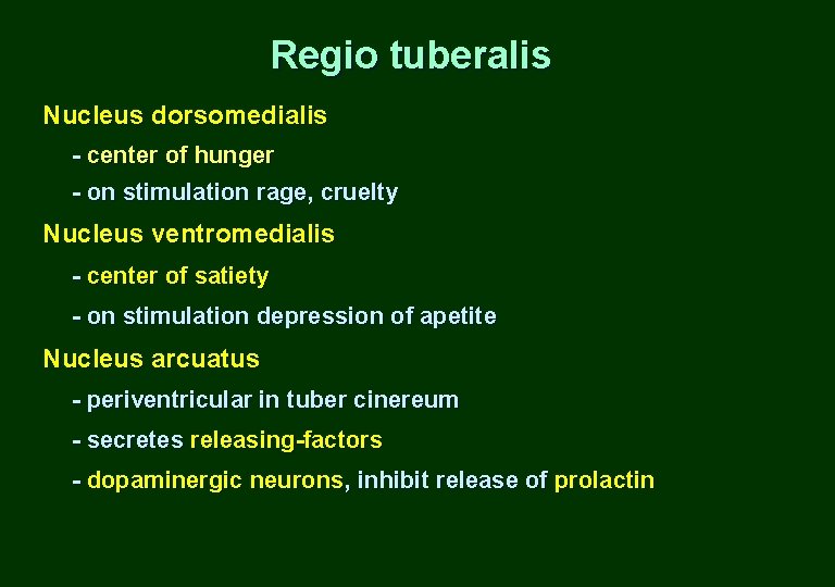 Regio tuberalis Nucleus dorsomedialis - center of hunger - on stimulation rage, cruelty Nucleus