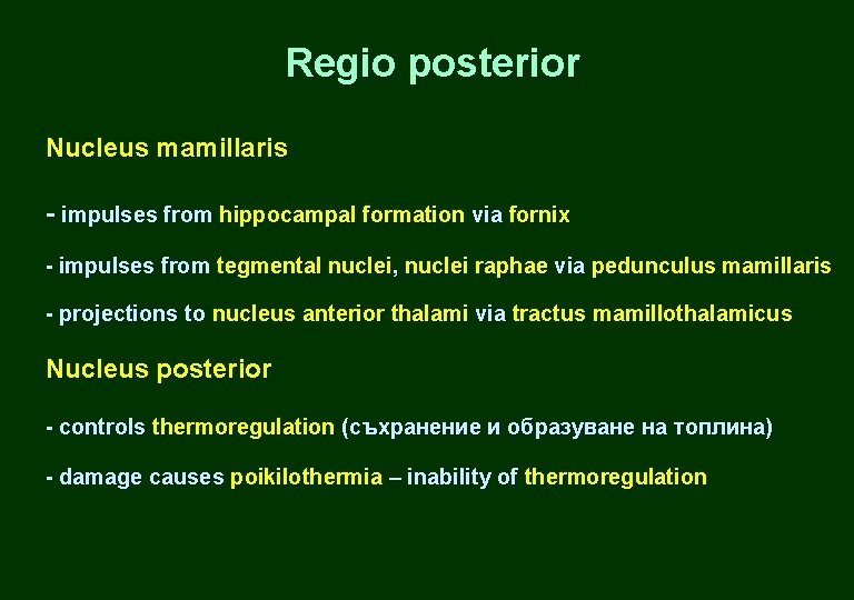 Regio posterior Nucleus mamillaris - impulses from hippocampal formation via fornix - impulses from