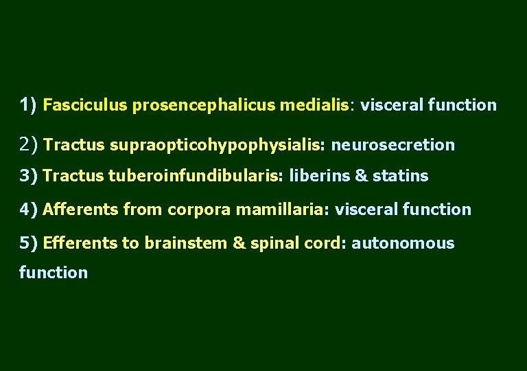 1) Fasciculus prosencephalicus medialis: visceral function 2) Tractus supraopticohypophysialis: neurosecretion 3) Tractus tuberoinfundibularis: liberins