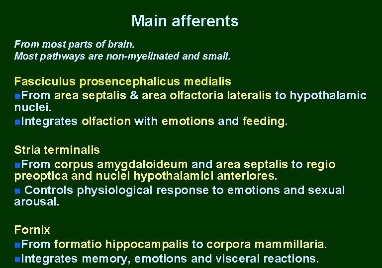 Main afferents From most parts of brain. Most pathways are non-myelinated and small. Fasciculus