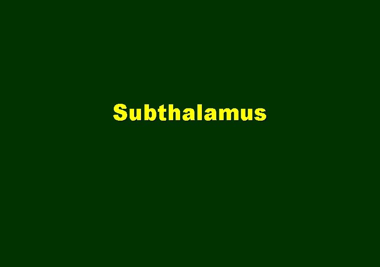 Subthalamus 