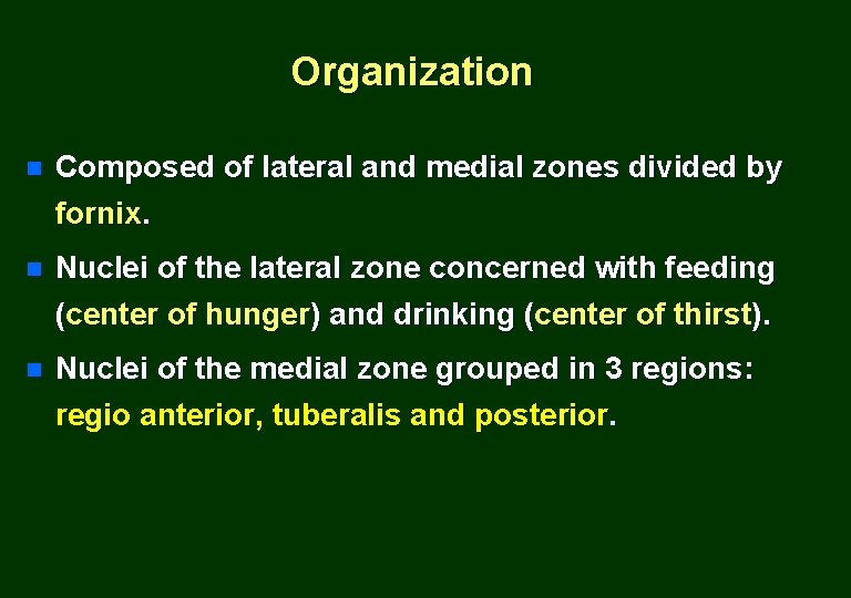 Organization n Composed of lateral and medial zones divided by fornix. n Nuclei of