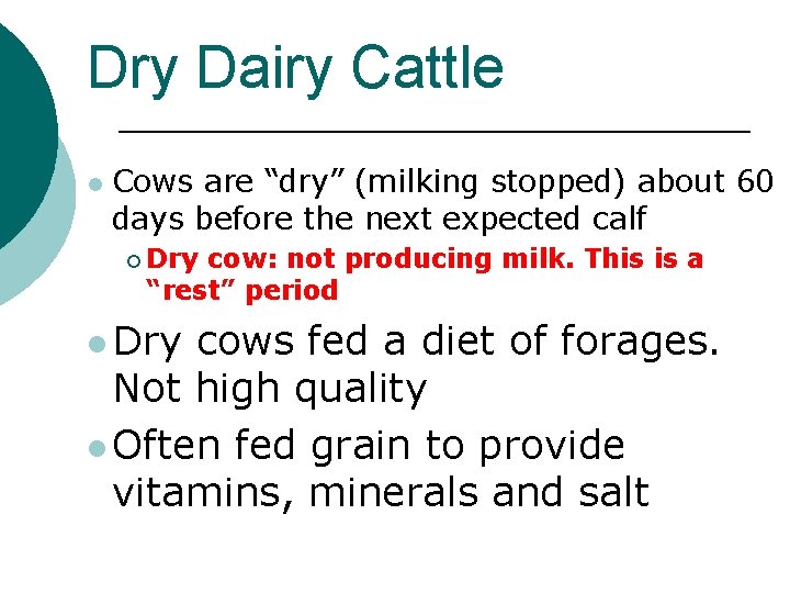 Dry Dairy Cattle l Cows are “dry” (milking stopped) about 60 days before the