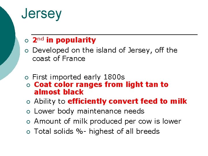 Jersey ¡ ¡ 2 nd in popularity Developed on the island of Jersey, off