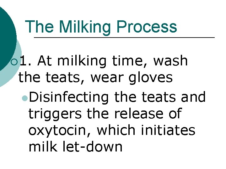 The Milking Process ¡ 1. At milking time, wash the teats, wear gloves l.