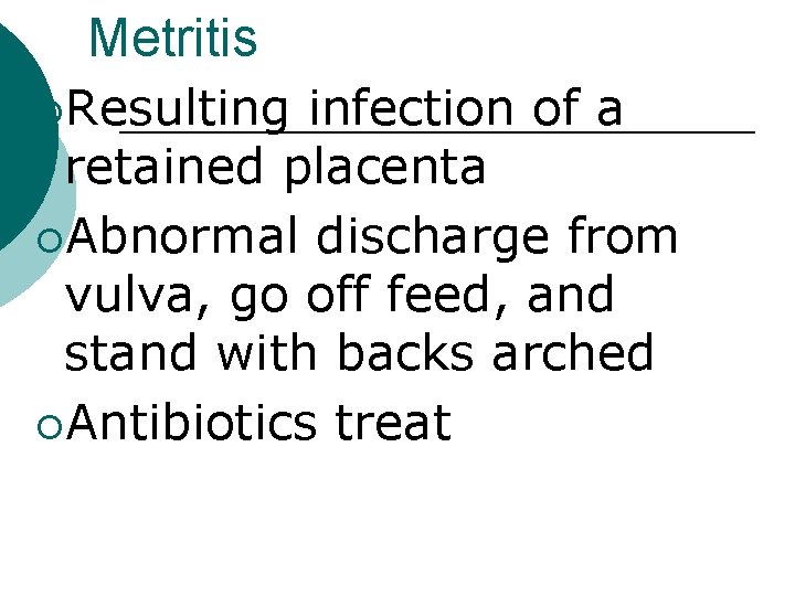 Metritis ¡Resulting infection of a retained placenta ¡Abnormal discharge from vulva, go off feed,