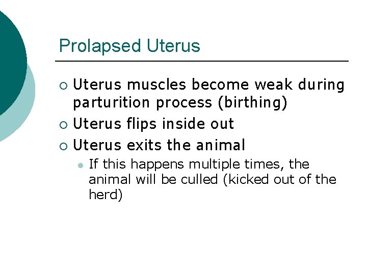 Prolapsed Uterus muscles become weak during parturition process (birthing) ¡ Uterus flips inside out