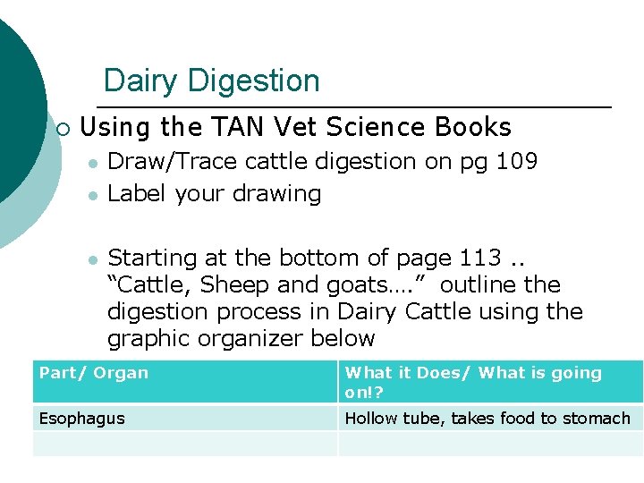 Dairy Digestion ¡ Using the TAN Vet Science Books l l l Draw/Trace cattle