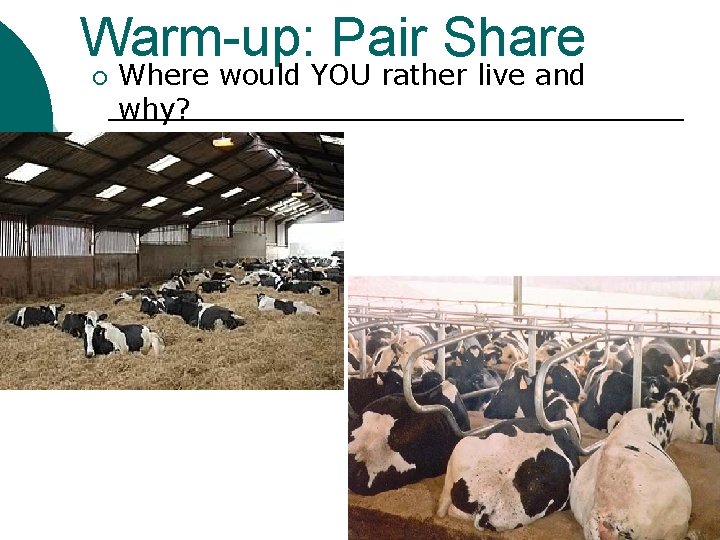 Warm-up: Pair Share ¡ Where would YOU rather live and why? 