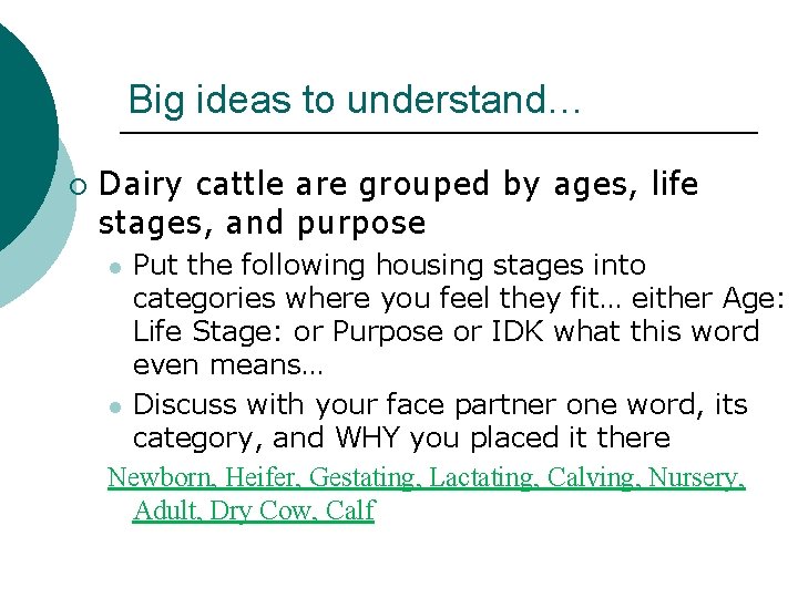 Big ideas to understand… ¡ Dairy cattle are grouped by ages, life stages, and