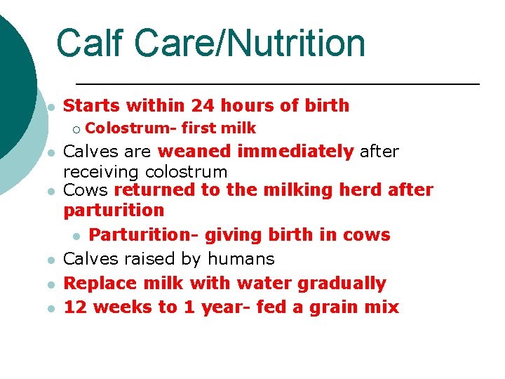 Calf Care/Nutrition l Starts within 24 hours of birth ¡ l l l Colostrum-