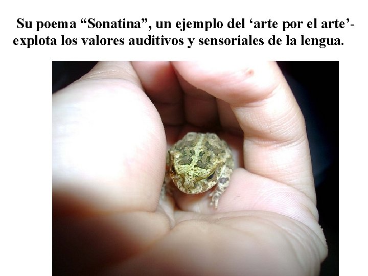 Su poema “Sonatina”, un ejemplo del ‘arte por el arte’explota los valores auditivos y