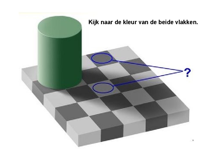 Optische illusie Wat zie je en wat is