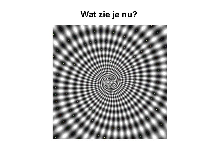 Optische illusie Wat zie je en wat is
