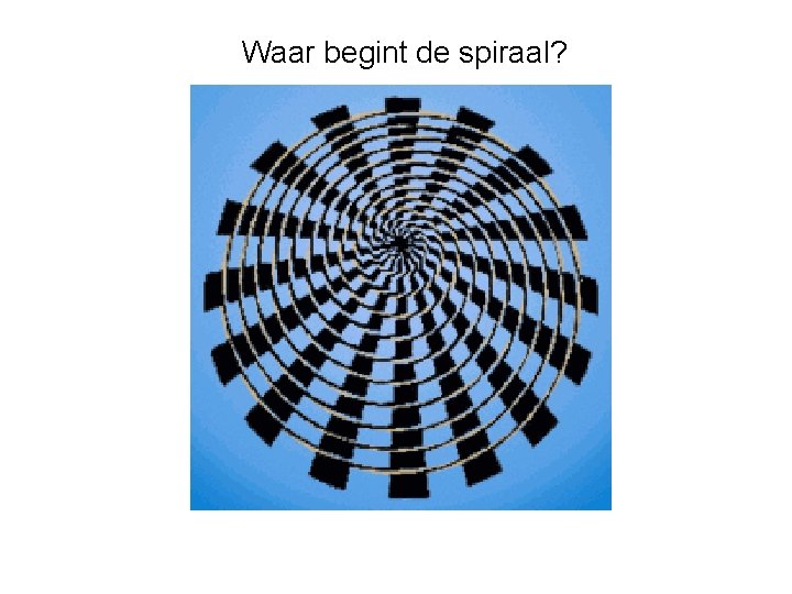 Optische illusie Wat zie je en wat is