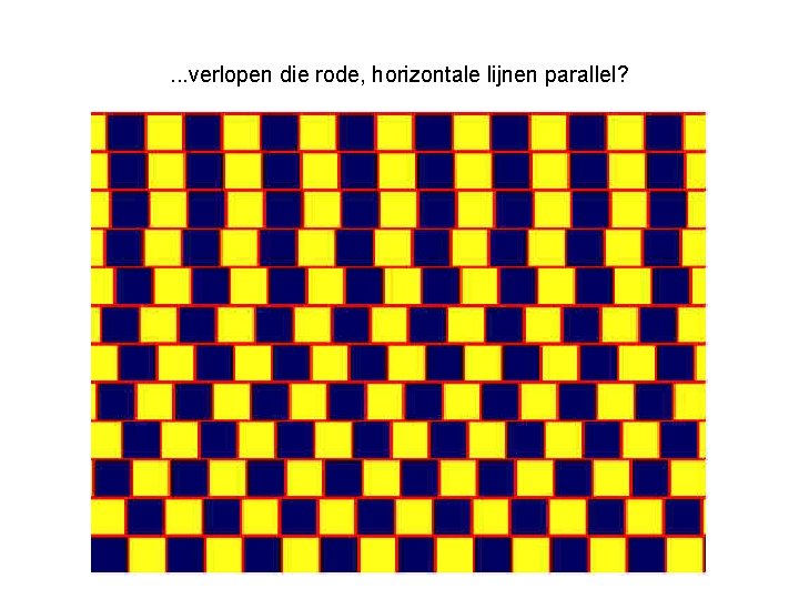 Optische illusie Wat zie je en wat is