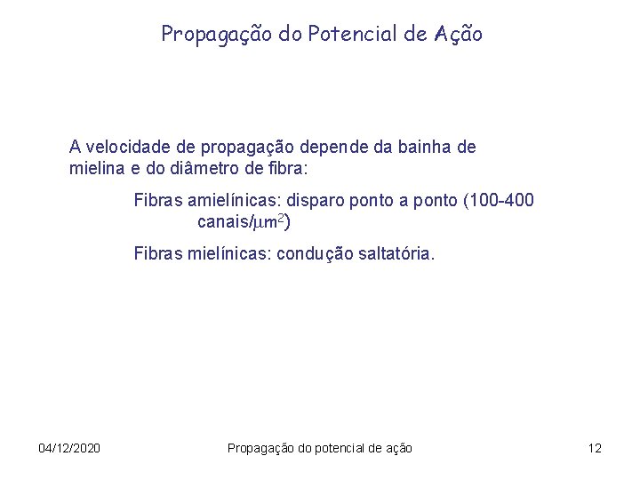 Propagação do Potencial de Ação A velocidade de propagação depende da bainha de mielina