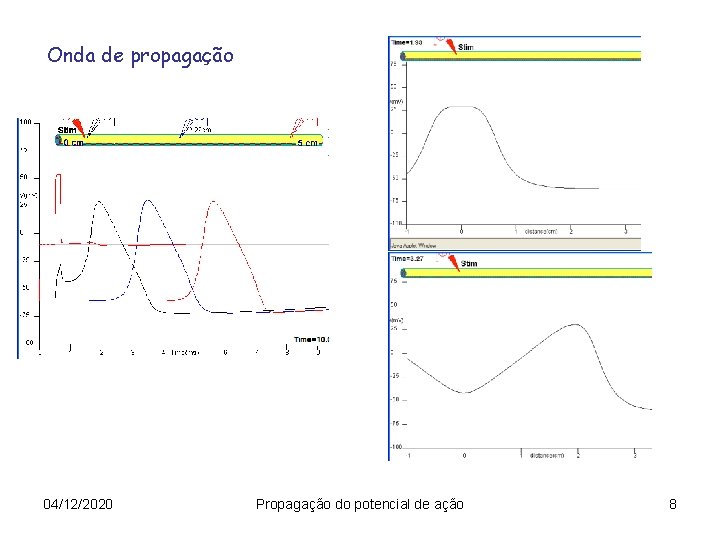 Onda de propagação 04/12/2020 Propagação do potencial de ação 8 