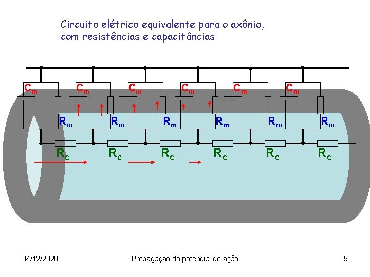 Circuito elétrico equivalente para o axônio, com resistências e capacitâncias Cm Cm Cm Rm