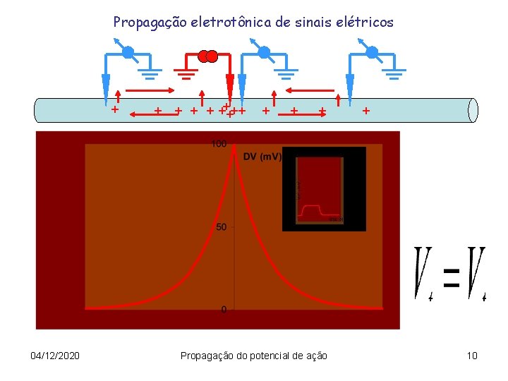 Propagação eletrotônica de sinais elétricos + 04/12/2020 + + ++++ + + Propagação do