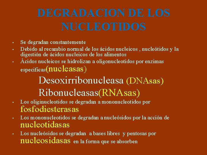 DEGRADACION DE LOS NUCLEOTIDOS • • • Se degradan constantemente Debido al recambio normal