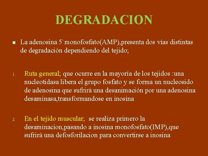 DEGRADACION n 1. 2. La adenosina 5`monofosfato(AMP), presenta dos vías distintas de degradación dependiendo