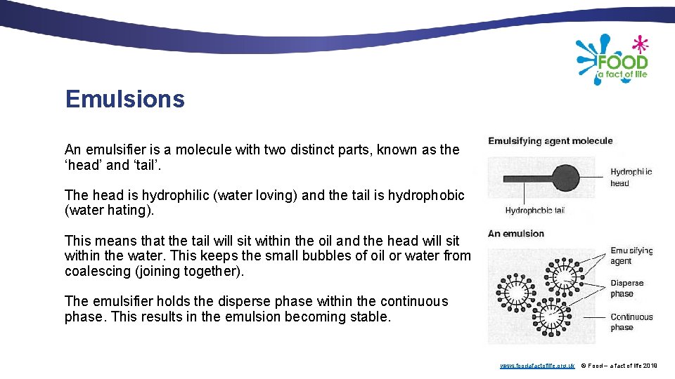 Emulsions An emulsifier is a molecule with two distinct parts, known as the ‘head’