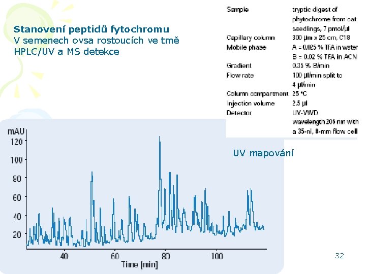 Stanovení peptidů fytochromu V semenech ovsa rostoucích ve tmě HPLC/UV a MS detekce UV