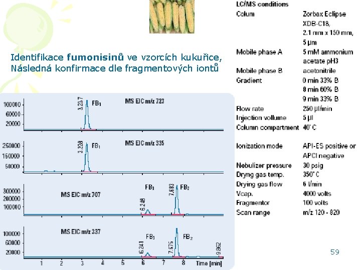 Identifikace fumonisinů ve vzorcích kukuřice, Následná konfirmace dle fragmentových iontů HPLC aplikace 59 