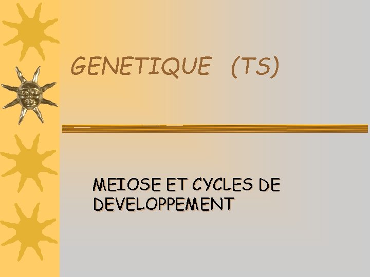 GENETIQUE (TS) MEIOSE ET CYCLES DE DEVELOPPEMENT 
