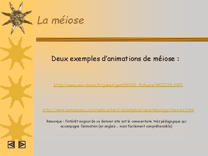 La méiose Deux exemples d’animations de méiose : http: //www. univ-tours. fr/genet/gen 000100_fichiers/MEIOSE. SWF