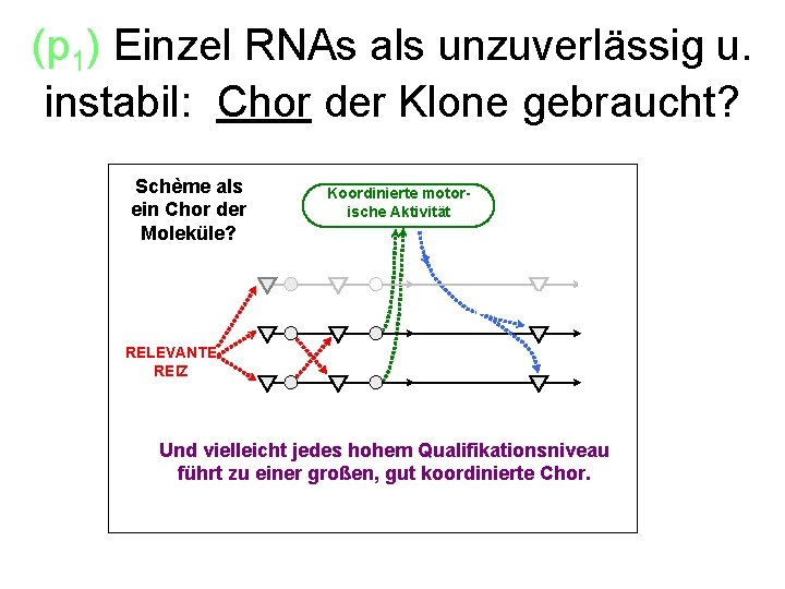 (p 1) Einzel RNAs als unzuverlässig u. instabil: Chor der Klone gebraucht? Schème als