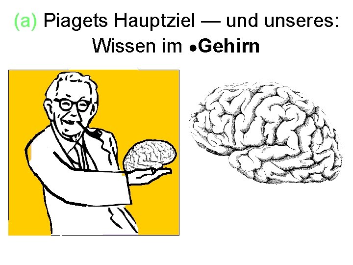 (a) Piagets Hauptziel — und unseres: Wissen im ●Gehirn 