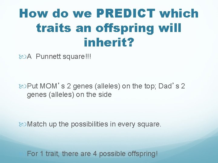 How do we PREDICT which traits an offspring will inherit? A Punnett square!!! Put